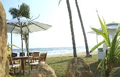 -. . Avenra Beach Hikkaduwa 4*