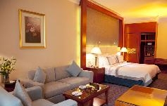 . . Grand Excelsior Dubai 4*