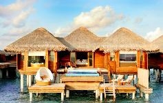 .   . Huvafen Fushi Maldives 5* DLX