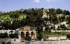 . .  Mount of Olives 3*