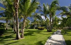 .  . Catalonia Bavaro Resort 5*