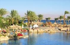 . . Sonesta Beach Resort Taba 5*